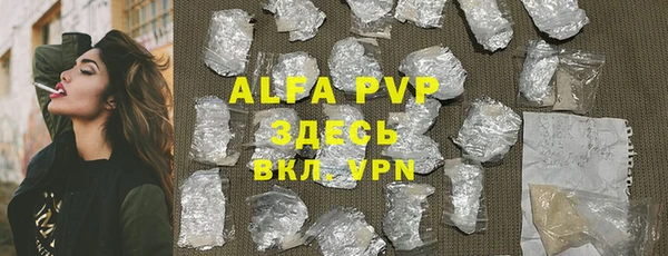 сатива Куйбышев
