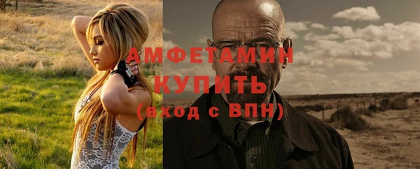 сатива Куйбышев