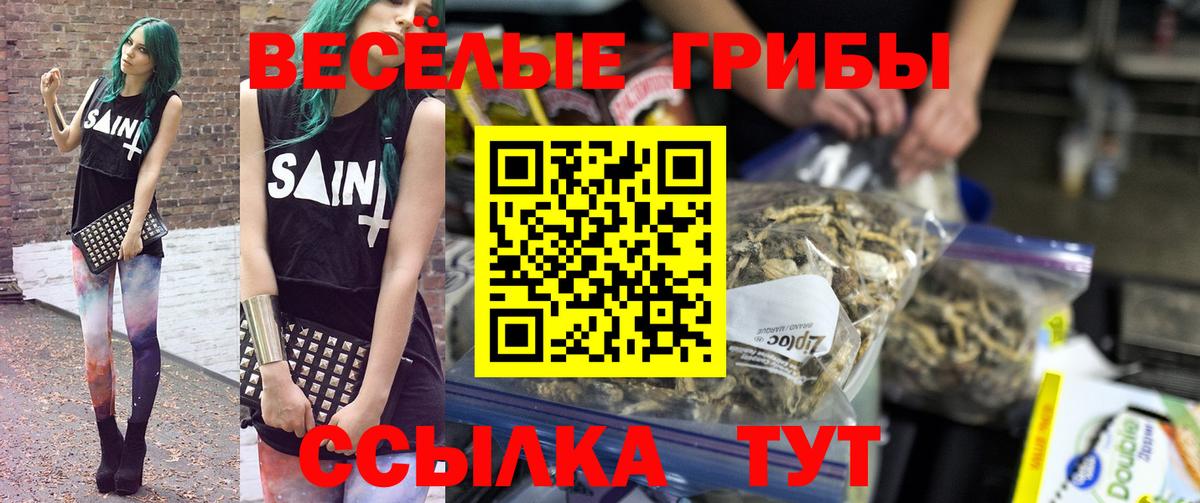 Псилоцибиновые грибы ЛСД Бийск
