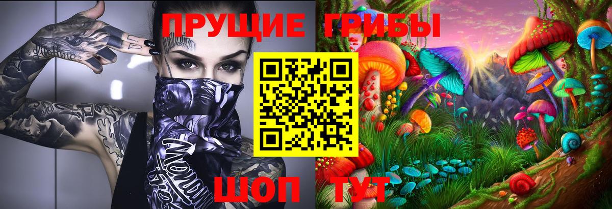 Псилоцибиновые грибы Cubensis  Бийск 