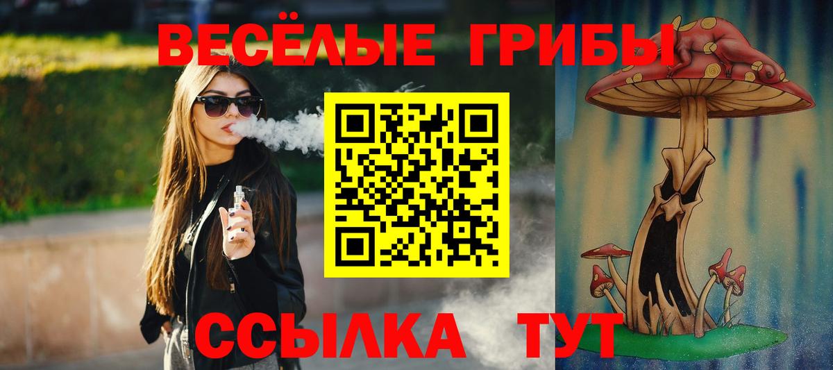Псилоцибиновые грибы Psilocybine cubensis  Вход с VPN  Бийск 